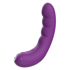 REWOLUTION RewoCurvy – Vibratore flessibile ricaricabile