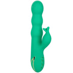 CALEXOTICS – SONOMA SODDISFATTO VERDE