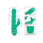 CALEXOTICS – SONOMA SODDISFATTO VERDE