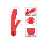 CALEXOTICS – PALISADES ROSSO PASSIONE