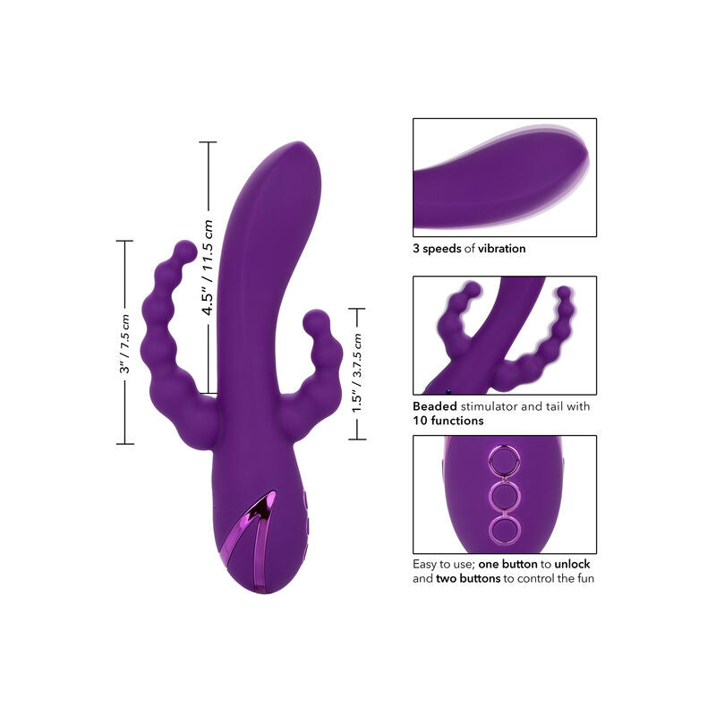 CALEXOTICS – LONG BEACH BOOTYLICIOUS VIOLET
