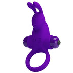PRETTY LOVE – ANELLO VIBRATORE I CONIGLIO PER PENE VIOLA
