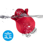 ARMONY – ROSE VIBRATOR & STIMULATOR RED