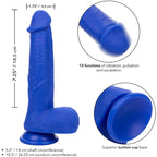CALEXOTICS – ADMIRAL VIBRATORE DILDO REALISTICO DEL CAPITANO BLU