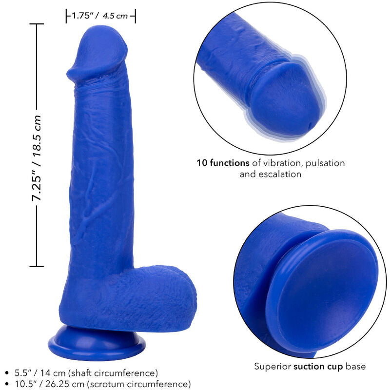 CALEXOTICS Admiral Captain – Realistischer Dildo-Vibrator, blau