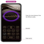 PRETTY LOVE Ethan – Wiederaufladbarer G-Punkt-Vibrator, lila