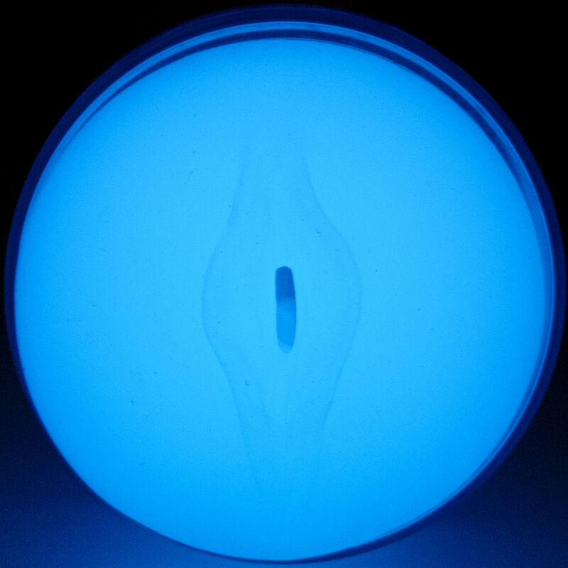Kiiroo Feel Glow – Im Dunkeln leuchtender Stroker