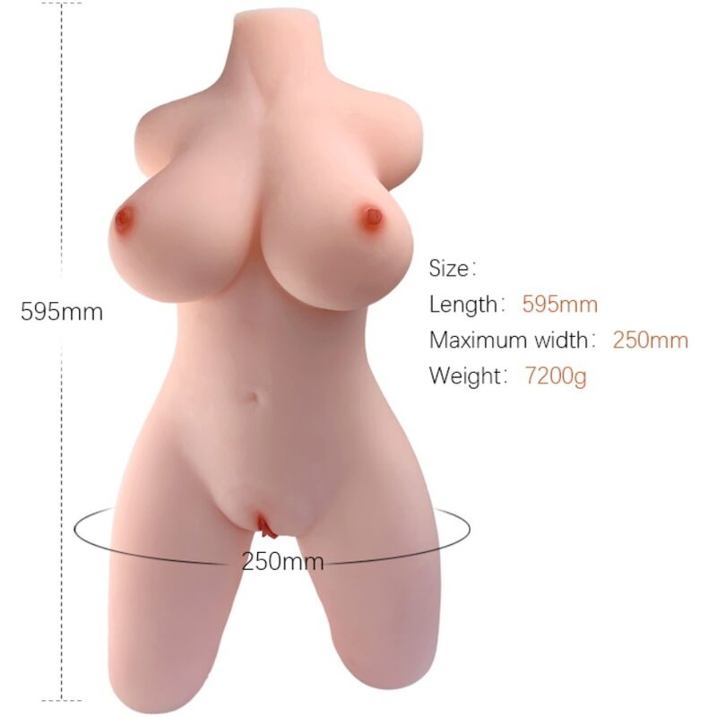 ARMONY – Modello realistico di torso femminile