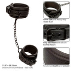 CALEXOTICS Nocturnal – Fussmanschetten aus Leder, schwarz