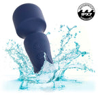 CALEXOTICS – CHARISMA CHARM MASSEUR 12 FONCTIONS VIOLET