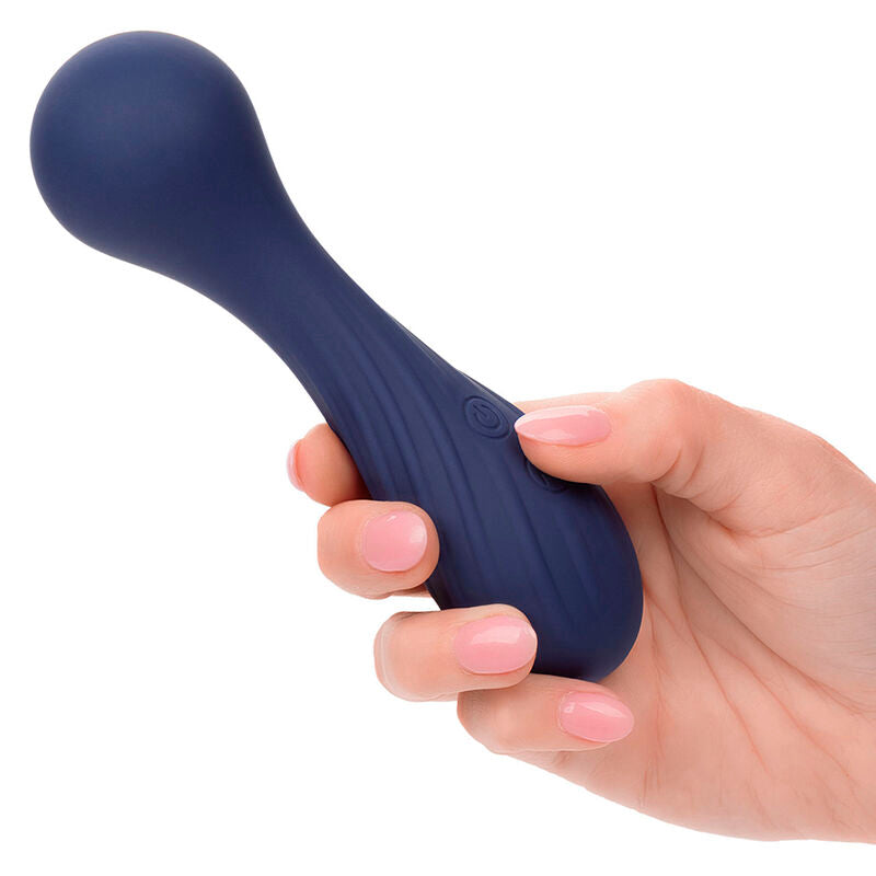 CALEXOTICS Charisma Temptation – Massagegerät, lila