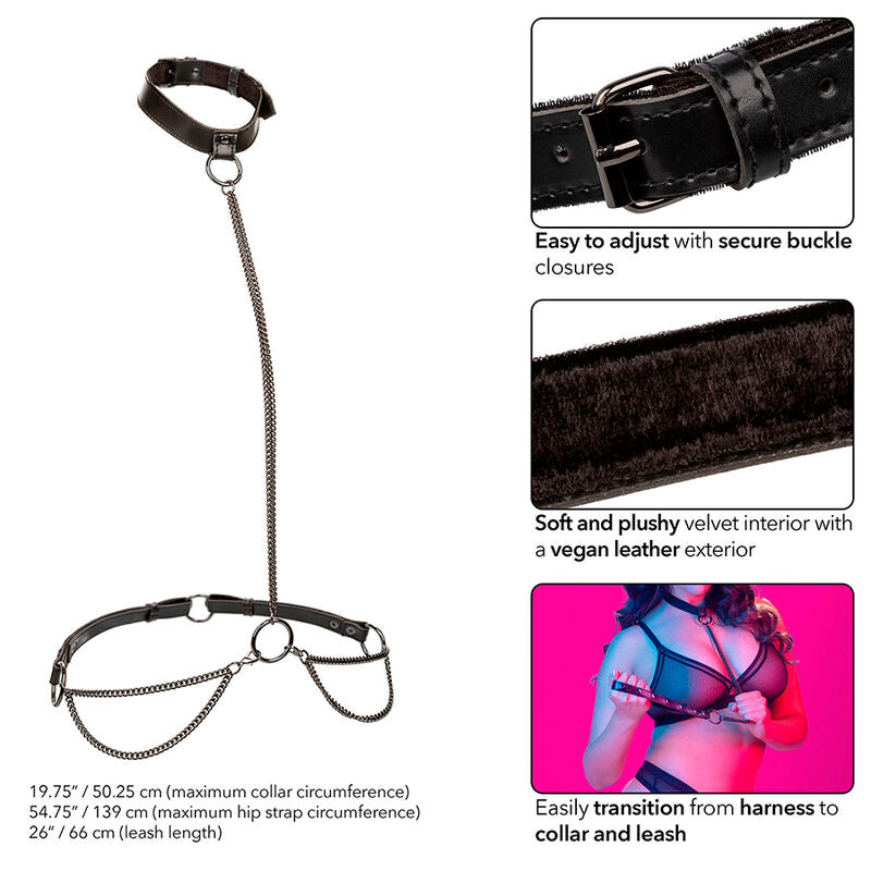 CALEXOTICS Euphoria – Ketten-Halfter mit Halsband und Leine, Übergrösse