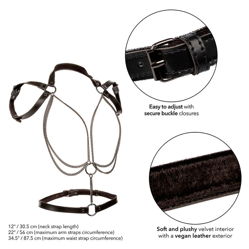 CALEXOTICS – EUPHORIA MULTICHAIN HALTER HARNESS PREMIUM