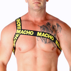MACHO – PETTORINA ROMANA GIALLA