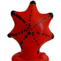 CONDOMERIE – HANDPAINTED NOVELTY CONDOMS STARFISH