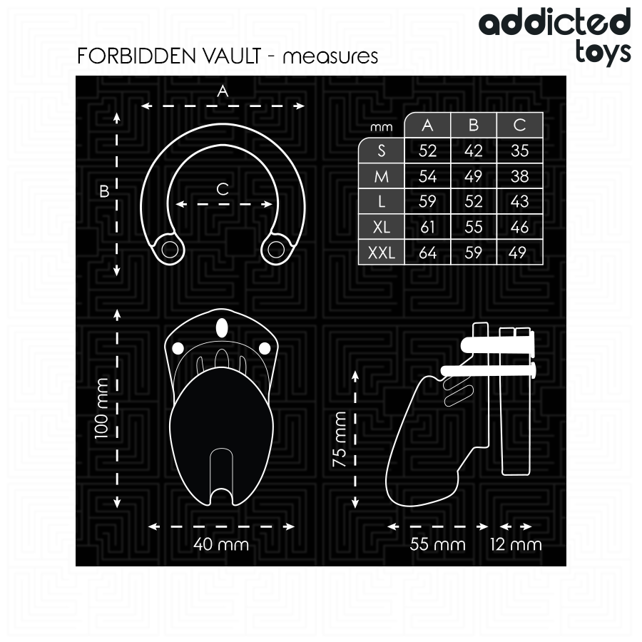 ADDICTED TOYS LOCKED – GABBIA PER PENE FORBIDDEN VAULT 10 CM