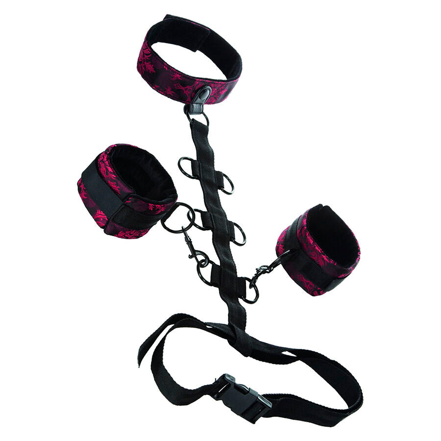 CALEXOTICS – SCANDAL COMPORAL SUPPORT WITH NECK