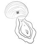 ROMP – SPIN CLITORAL SUCTION ANTITUDE WITH ROTATING OPENING AND CLOSING