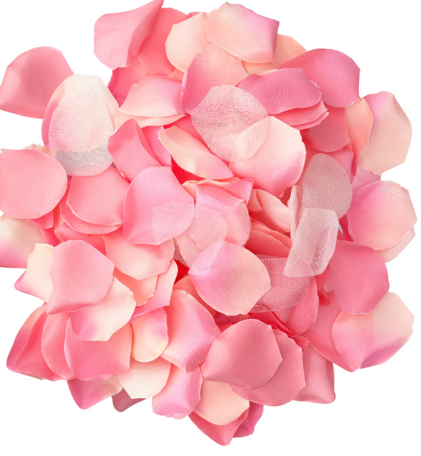 DIABLO PICANTE – 100 Rosa Blütenblätter