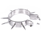 METAL HARD – BDSM slave collar with points