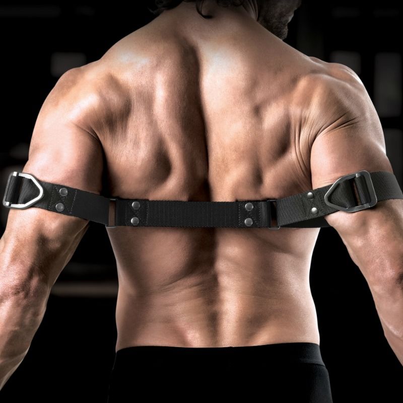 SIR RICHARDS – Commandement biceps Bender