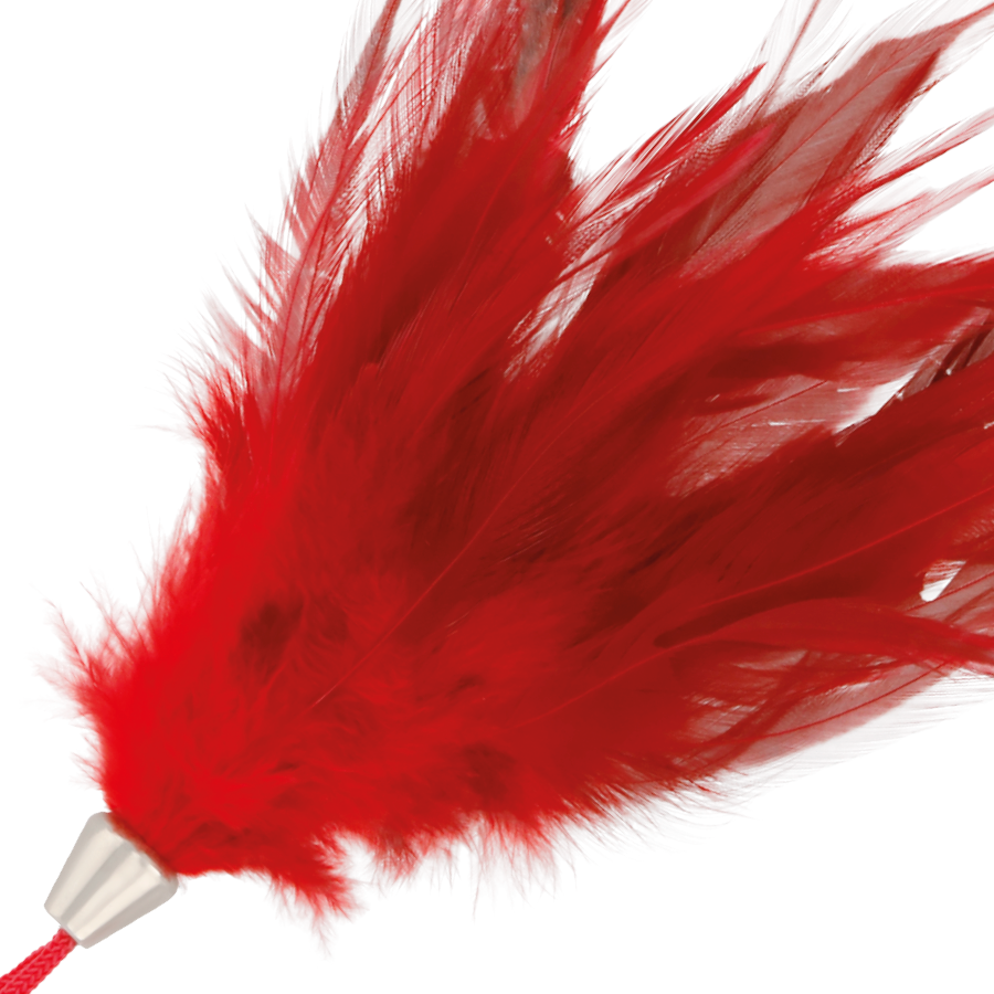 DARKNESS Kitzelfeder – Stimulierstift, Rot, 17 cm
