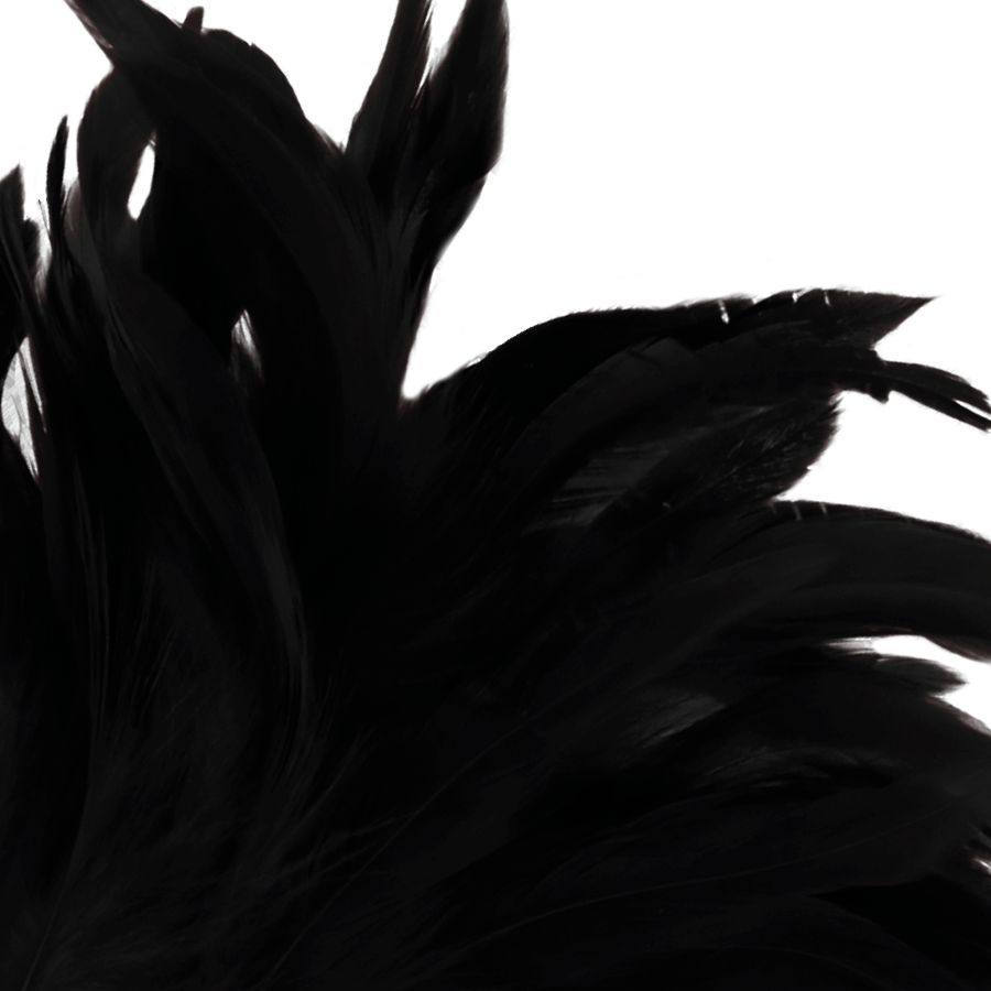 DARKNESS Lux – Kitzelfeder-Stimulierstift, Schwarz