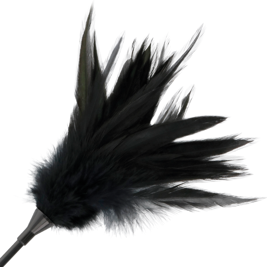 DARKNESS – Black feather whip