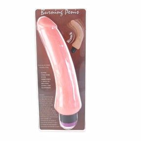BAILE – Vibrateur réaliste 19.5 cm