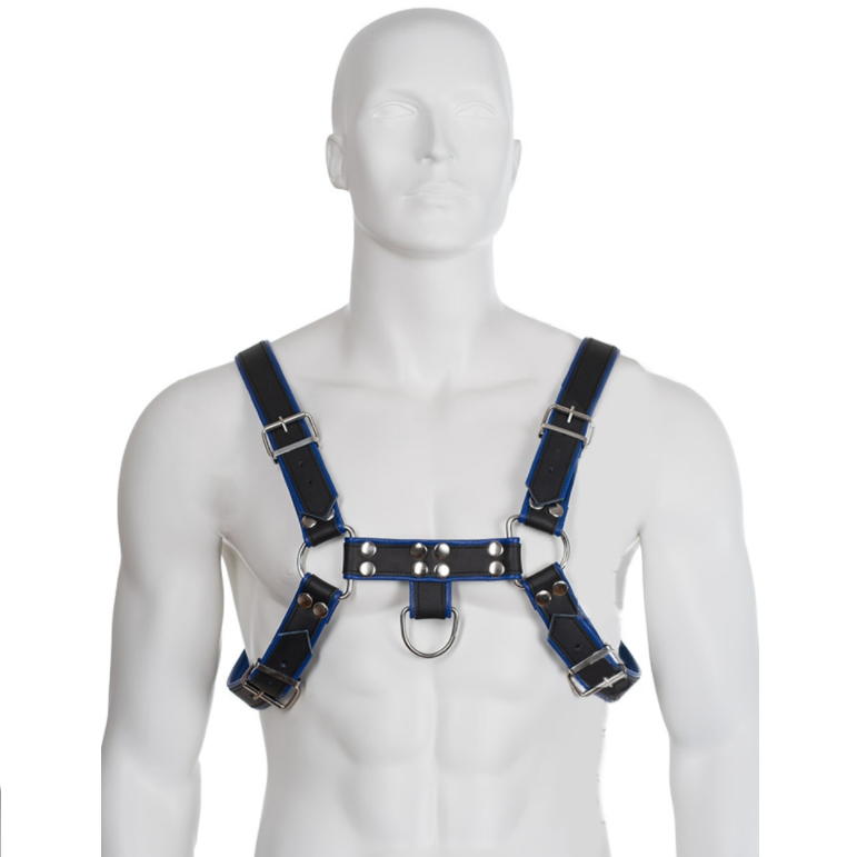 Leather Body – Bulldog Brustharness aus Leder, Blau-Schwarz