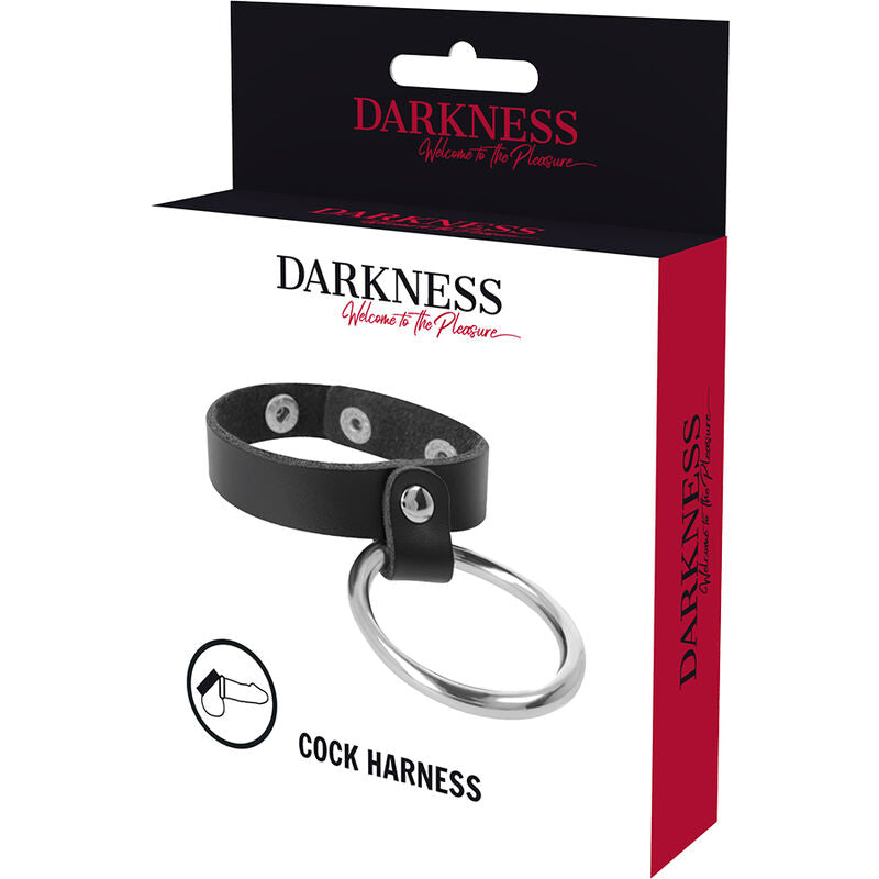 DARKNESS BONDAGE – Metallring für Penis und Hoden, Schwarz