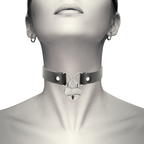 COQUETTE CHIC DESIRE – Fetisch-Halsband aus veganem Leder mit Herz- und Schlüssel-Anhänger, 40 cm